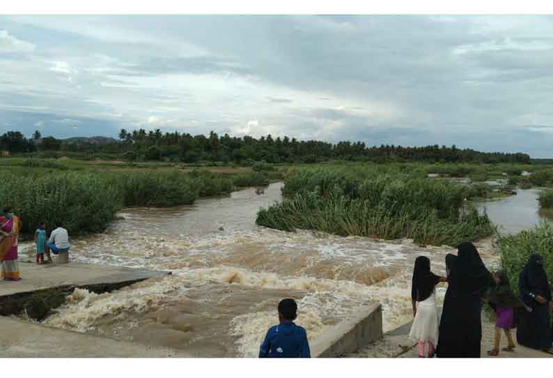 ராஜக்கல் பாலாற்றில் வெள்ளப்பெருக்கு. போக்குவரத்துக்கு தடை