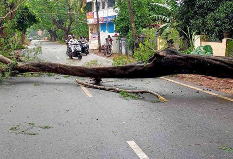 குமரியில் பலத்த காற்றுடன் விடிய, விடிய கனமழை