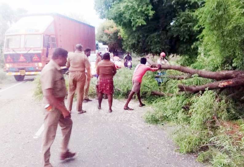 சாலையில் விழுந்த புளியமரத்தை அகற்றிய போலீசார்