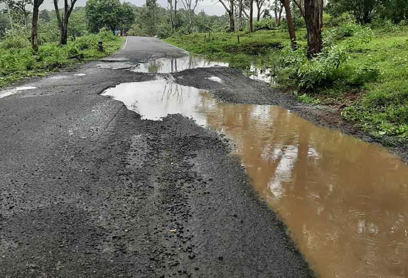 குண்டும் குழியுமாக கிடக்கும் கூடலூர்  மைசூரு சாலை