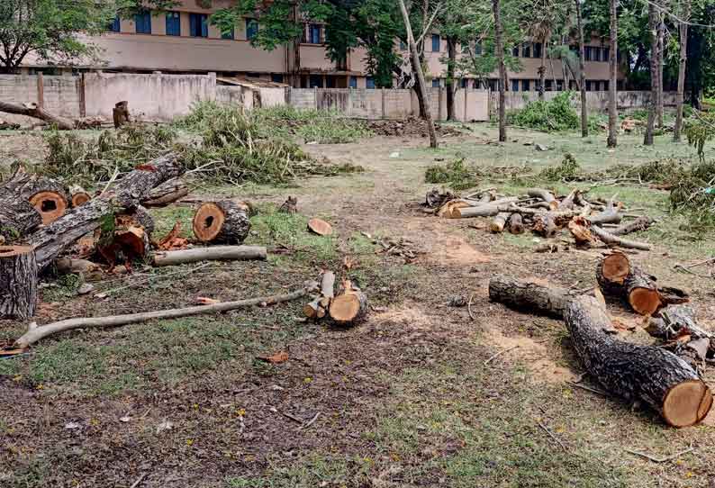 அண்ணாமலை பல்கலைக்கழகத்தில் மரங்கள் வெட்டியதை கண்டித்து பேராசிரியர்கள் ஆர்ப்பாட்டம்