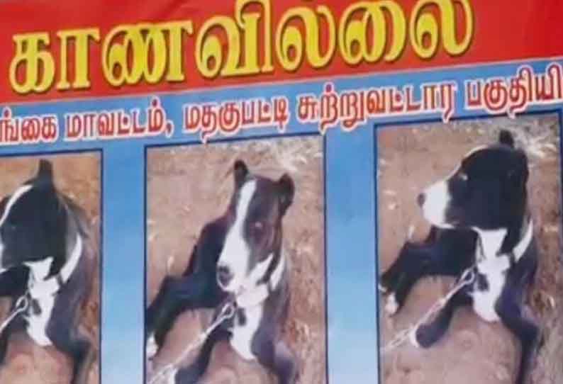 காணாமல் போன நாய்க்காக சுவரொட்டி ஒட்டிய விவசாயி