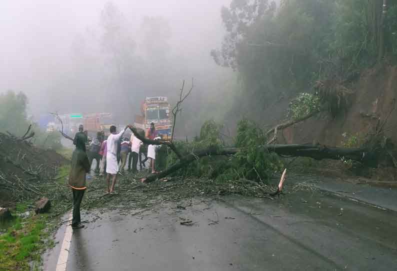 நீலகிரியில் அணைகளின் நீர்மட்டம் கிடுகிடுவென உயர்வு