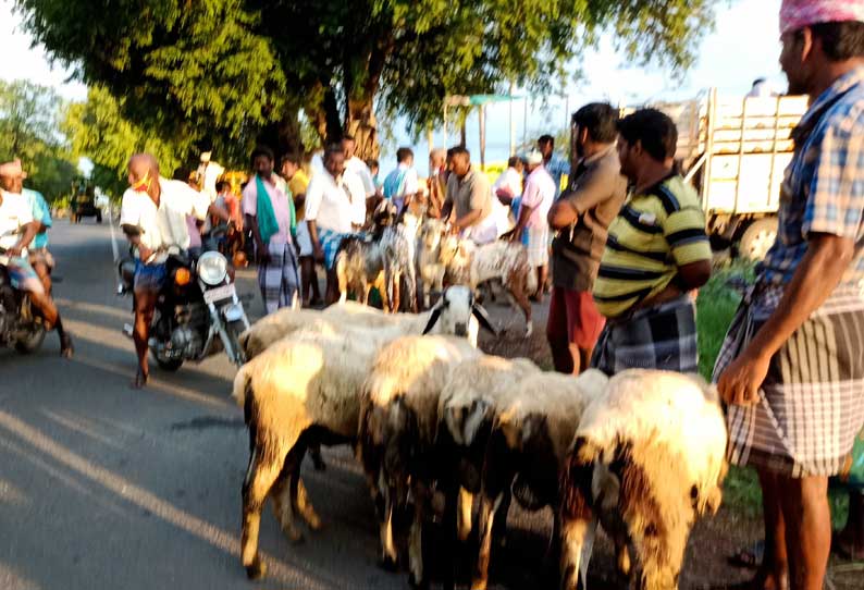 பக்ரீத் பண்டிகையையொட்டி வேப்பூர் வாரச்சந்தையில் ரூ.3 கோடிக்கு ஆடுகள் விற்பனை