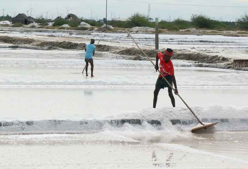 தூத்துக்குடியில் உப்பு விலை குறைய தொடங்கியது