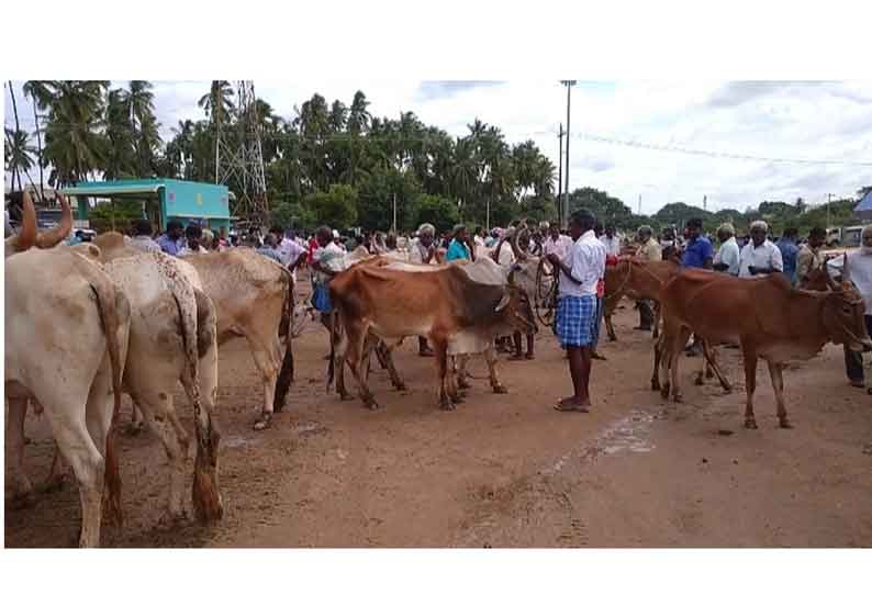 வாரச்சந்தையில் ரூ.1 கோடிக்குமேல் மாடுகள் விற்பனை