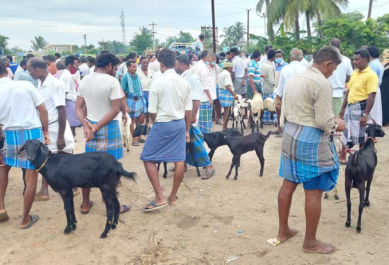 தியாகதுருகம் வாரச்சந்தையில் ஆடுகள் வரத்து குறைந்ததால் வியாபாரிகள் ஏமாற்றம்