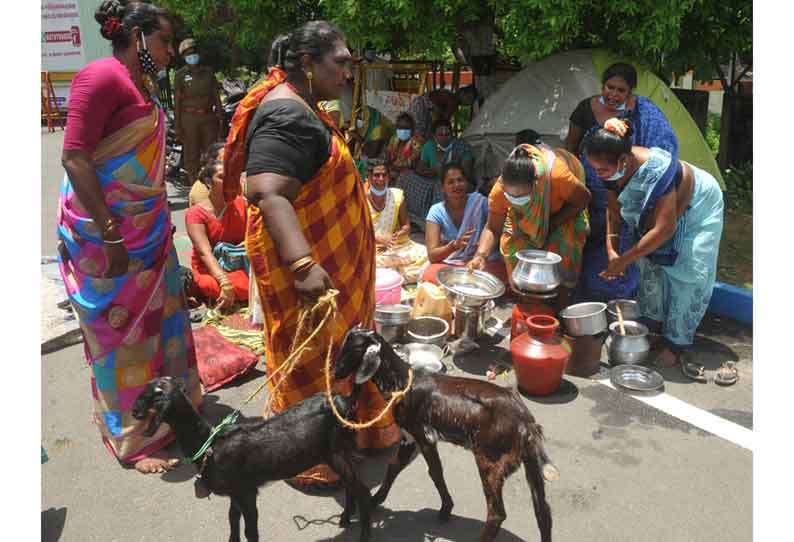 திருவண்ணாமலை கலெக்டர் அலுவலகத்தில் திருநங்கைகள் குடியேறும் போராட்டம்