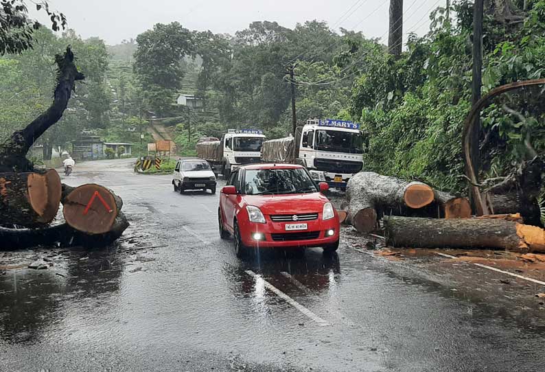 கூடலூரில் இருந்து கேரளா செல்லும் சாலைகளில் விழுந்த மரங்கள் முழுமையாக அகற்றப்படவில்லை