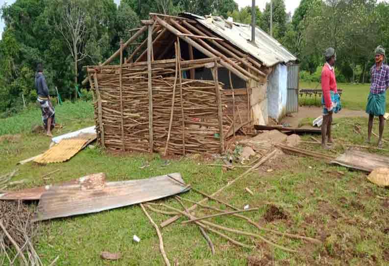 தலமலை அருகே  கிராமத்துக்குள் புகுந்து யானை அட்டகாசம்