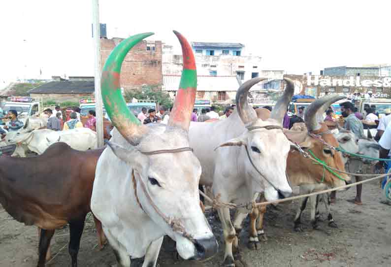 அந்தியூர் கால்நடை சந்தையில் காங்கேயம் காளை மாடு ஜோடி ரூ.1¼ லட்சத்துக்கு விற்பனை