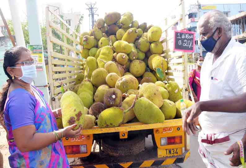 தாளவாடியில் இருந்து வரும் பலாப்பழங்கள் விற்பனை தீவிரம் தாளவாடியில் இருந்து வரும் பலாப்பழங்கள் விற்பனை தீவிரம்