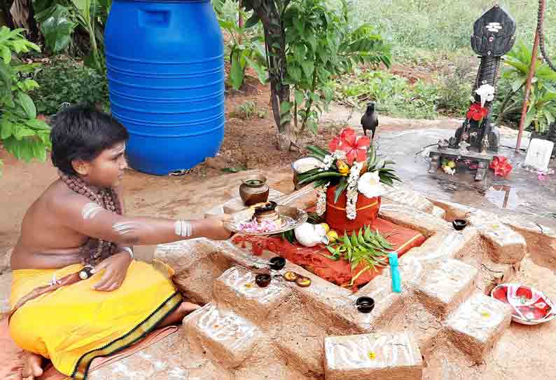 சிறுவன் சங்கு ஊதும் சத்தம் கேட்டு பறந்து வரும் காகம்