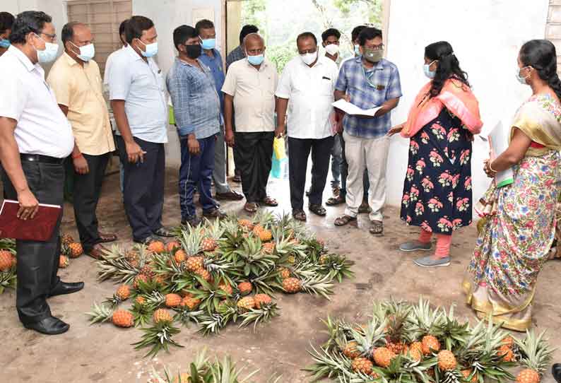 கொல்லிமலையில் வளர்ச்சி திட்டப்பணிகளை கலெக்டர் ஆய்வு