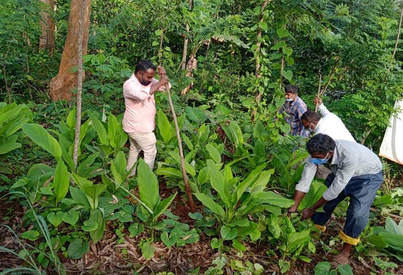 அய்யன்கொல்லி அருகே ஆக்கிரமிப்பு அகற்றம்