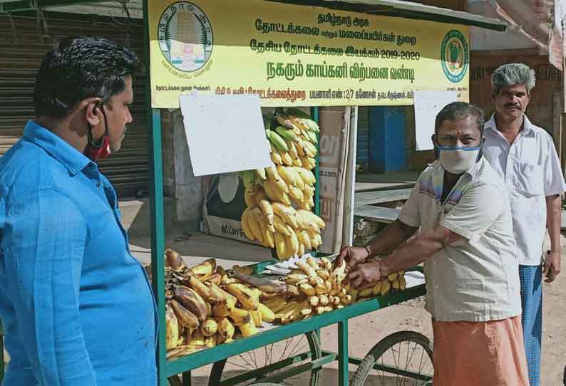 ‘பசித்தால் எடுத்துக்கொள்ளுங்கள்’; ஏழைகளுக்கு இலவசமாக வாழைப்பழம் வழங்கும் விவசாயி