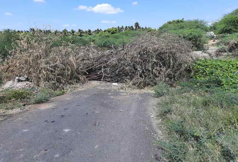 சிவகிரி அருகே மாவட்ட எல்லையில் முள் போட்டு ரோடு மூடல்