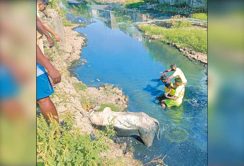 கோயம்பேடு அருகே கூவம் ஆற்றில் சிக்கிய மாட்டை மீட்ட தீயணைப்பு வீரர்கள்