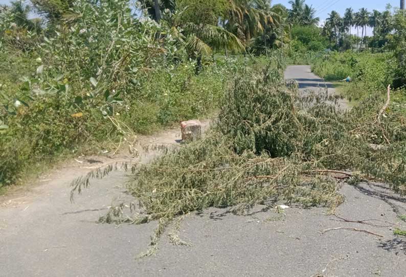 தேவூர் அருகே கிராமங்களில் கொரோனா: சாலையில் முள் மரங்கள் போட்டு அடைப்பு