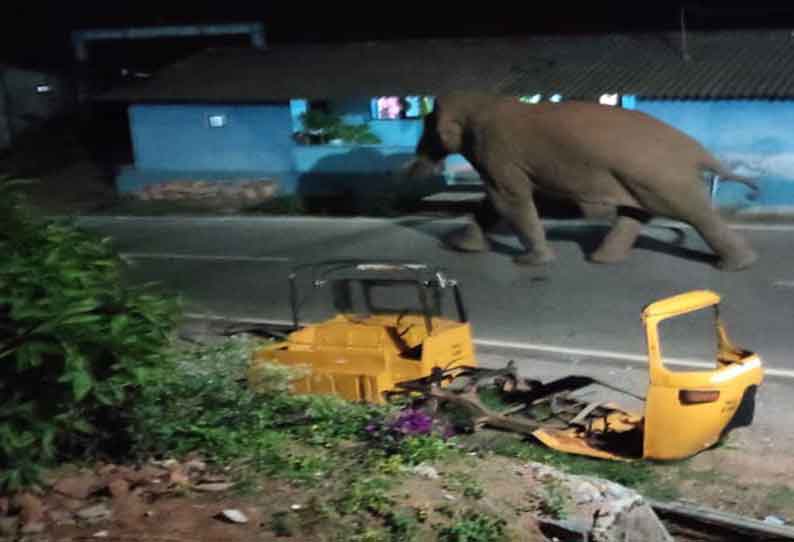 கூடலூர் அருகே தேவர்சோலை பஜாருக்குள் வந்த காட்டு யானையால் பரபரப்பு