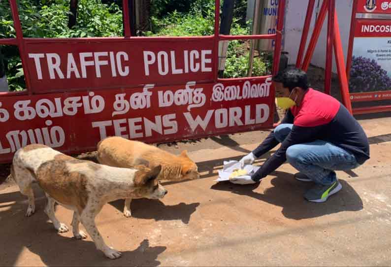 ஊட்டியில் குதிரைகள், தெருநாய்களுக்கு உணவு