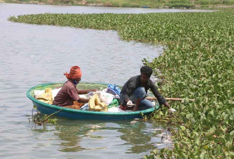 வாலாங்குளத்தில் செத்து மிதந்த மீன்களை அகற்றும் பணிகள்