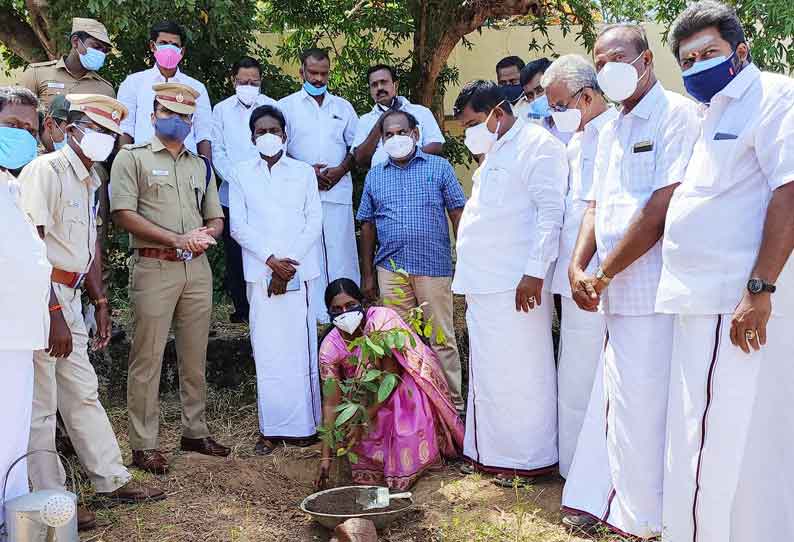 மயிலாடுதுறை மாவட்டத்தில் 1000 மரக்கன்றுகள் நடும் பணி