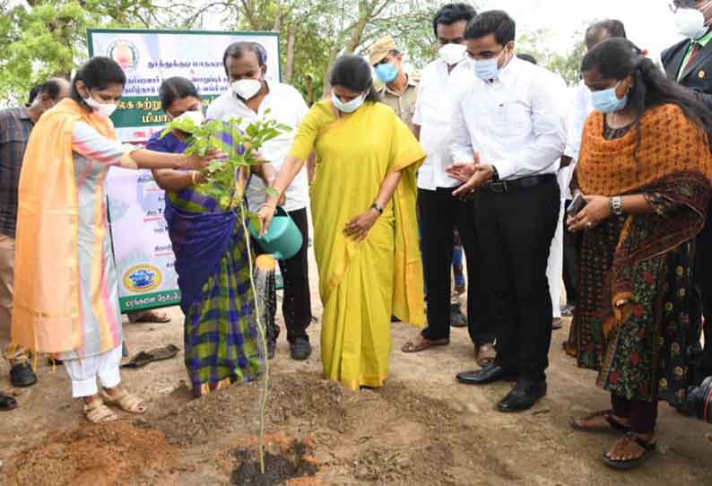 தூத்துக்குடியில் 20 ஏக்கரில் அடர்காடுகள் அமைக்கும் திட்டம்; கனிமொழி எம்.பி., அமைச்சர் கீதாஜீவன் தொடங்கி வைத்தனர்