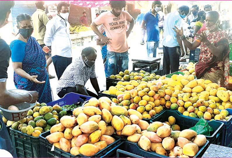 செயற்கையாக பழுக்க வைக்கப்படும் மாம்பழங்கள் விற்பனை பொதுமக்களுக்கு உடல்நலக்குறைவு ஏற்படும் அபாயம்