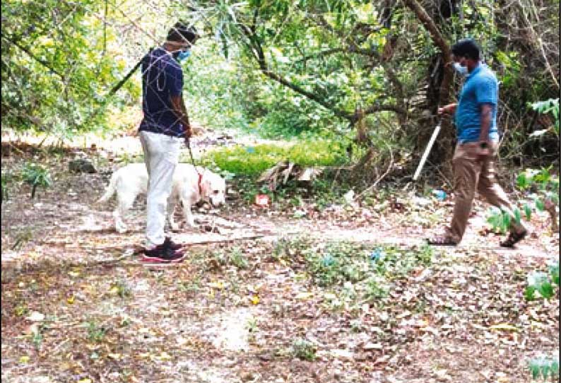 வில்லியனூர் அருகே பெண் படுகாயம்: வெடிகுண்டு பதுக்கிய ரவுடி உள்பட 3 பேர் கைது