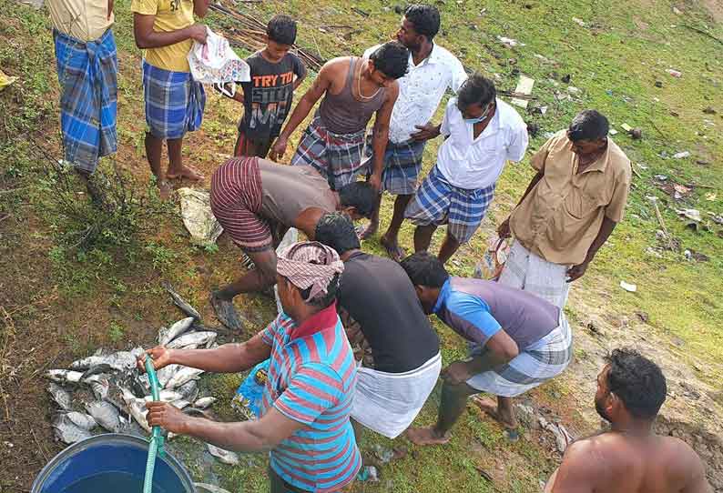 குளத்தில் பிடிக்கப்பட்ட மீன்களை பொதுமக்கள் வாங்கி சென்றனர்