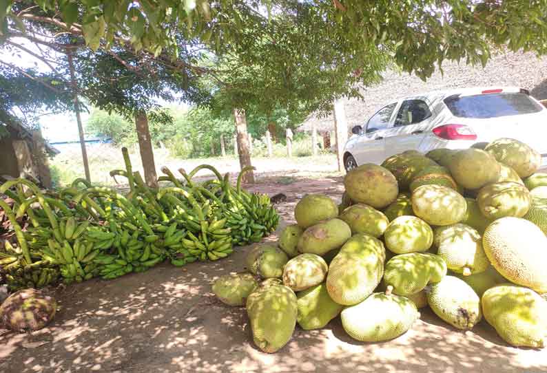 கமிஷன் கடைகளில் காய்கறி, பழங்கள் விற்பனைக்காக குவிந்தன