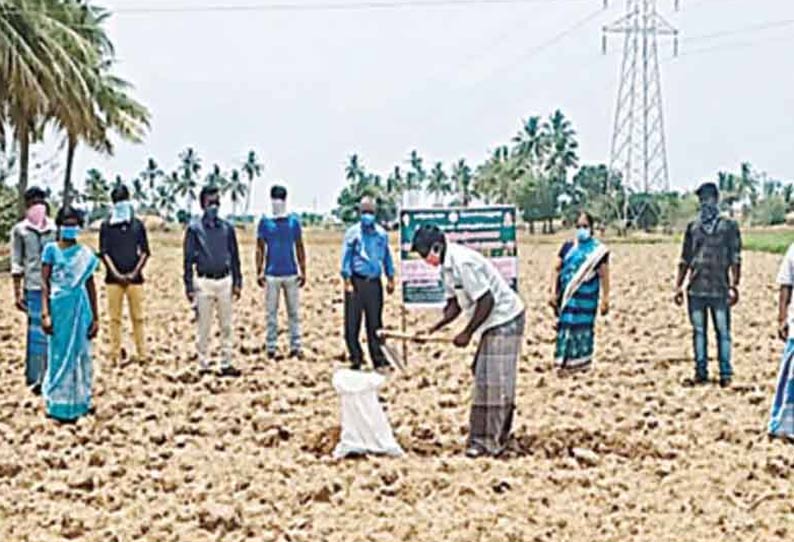 மண் மாதிரியை பரிசோதித்து பயன்பெறுங்கள்; செங்கல்பட்டு மாவட்ட வேளாண்மை இணை இயக்குனர் வேண்டுகோள்