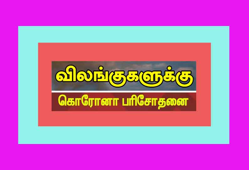 சேலம் குரும்பப்பட்டி உயிரியல் பூங்காவில் விலங்குகளுக்கு கொரோனா தொற்று பரவலை கண்காணிக்கும் கால்நடை டாக்டர்கள்