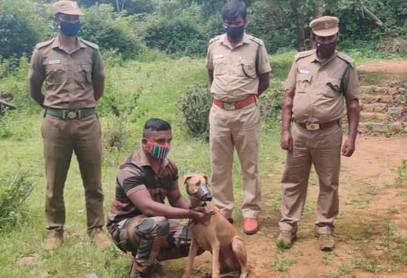 குற்றங்களை கண்டறிய வனத்துறைக்கு புதிய மோப்ப நாய்கள்