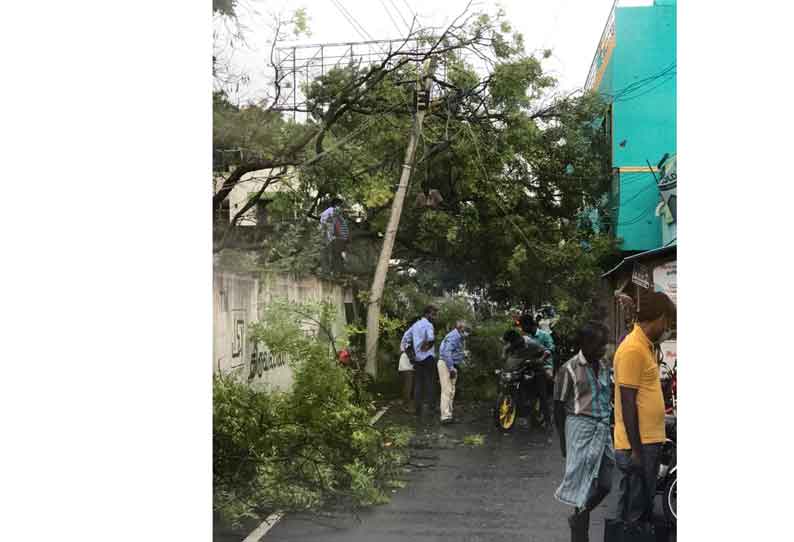 திருவண்ணாமலையில் பலத்த காற்றுடன் மழை