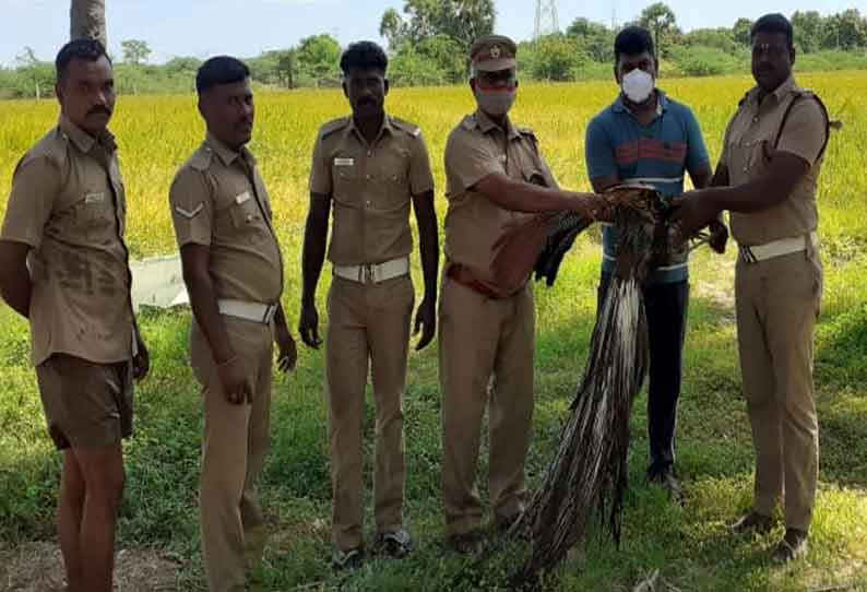 சாத்தான்குளத்தில் கிணற்றில் தவறி விழுந்த மயில் மீட்பு