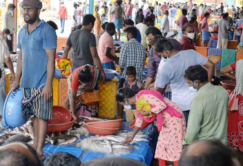 திருப்பூர் மீன் மார்க்கெட்டிற்கு நேற்று 20 டன் அணை மீன்கள் விற்பனைக்கு கொண்டு வரப்பட்டன.