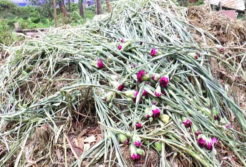 விற்பனை செய்ய முடியாததால் குப்பையில் கொட்டப்படும் கொய்மலர்கள்