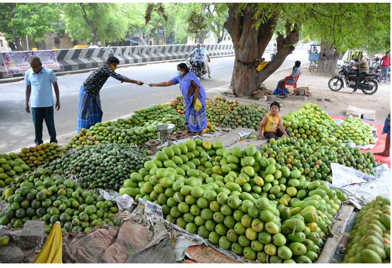 வகை வகையான மாம்பழங்கள்