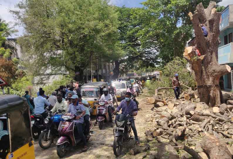 நெல்லிக்குப்பம் அருகே சாலை விரிவாக்க பணி: மரங்கள் வெட்டும் பணியால் போக்குவரத்து பாதிப்பு