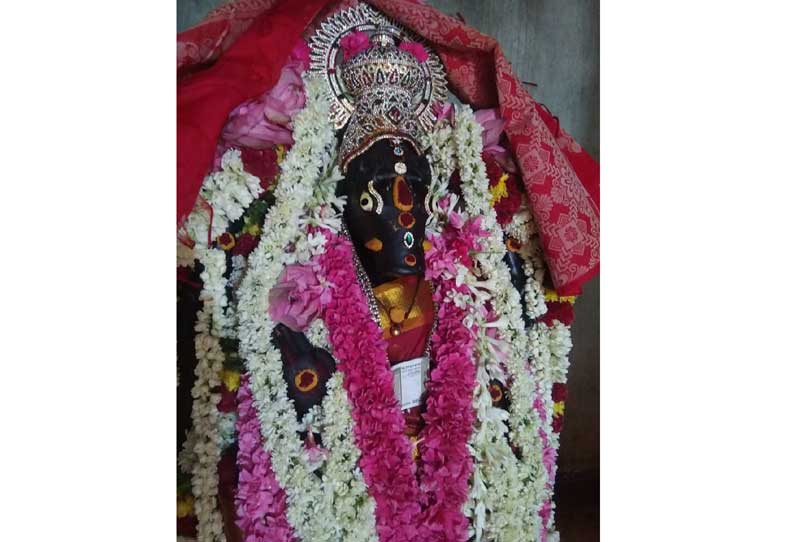 வீராணம் அருகே  வராகி அம்மனுக்கு சிறப்பு பூஜை