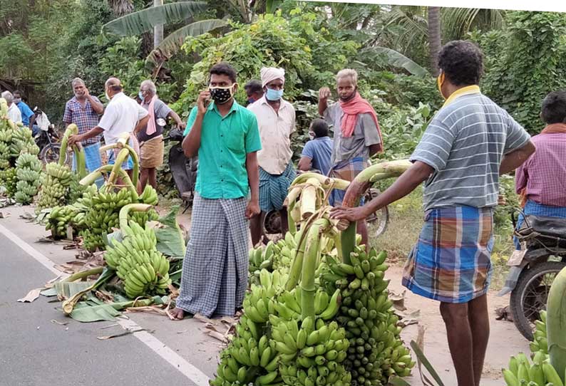 பரமத்திவேலூரில் வாழைத்தார் ஏல சந்தையை திறக்க விவசாயிகள் கோரிக்கை