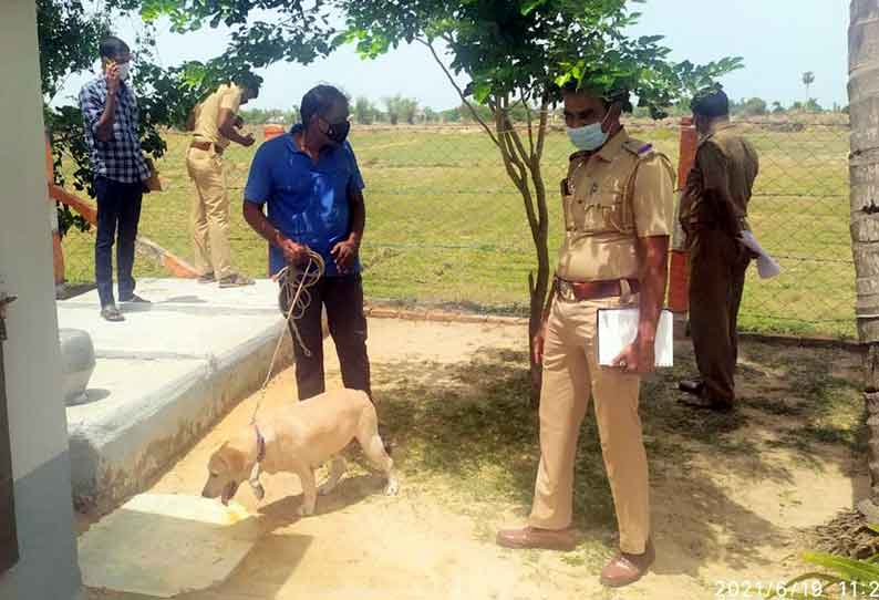 வாய்மேடு அருகே மிளகாய் பொடி தூவி பெண்ணிடம் 4 பவுன் சங்கிலி பறிப்பு மர்ம நபர்களுக்கு வலைவீச்சு