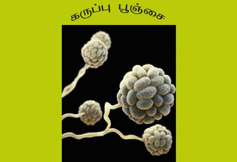 சேலம் மாவட்டத்தில் கருப்பு பூஞ்சை நோய்க்கு 272 பேர் பாதிப்பு