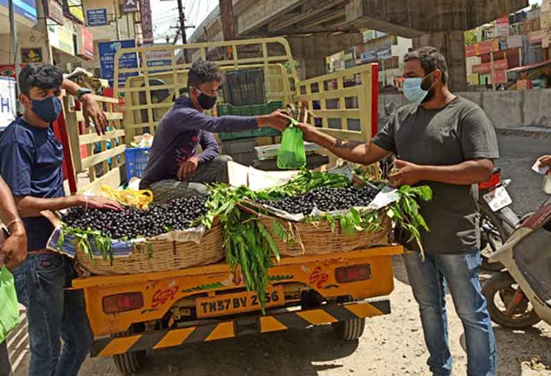 கோவையில் சூடுபிடிக்கும் நாவல் பழ விற்பனை