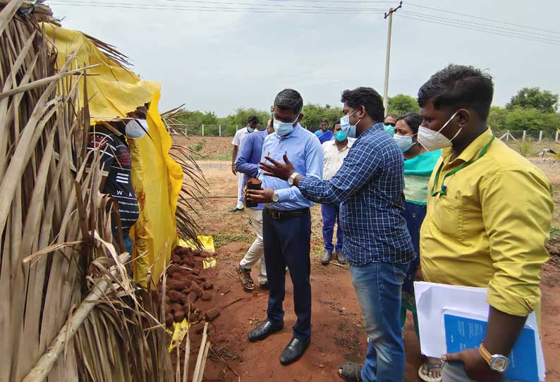 உளுந்தூர்பேட்டை தோட்டக்கலை பண்ணையில் கலெக்டர் ஸ்ரீதர் ஆய்வு மேற்கொண்டார்.