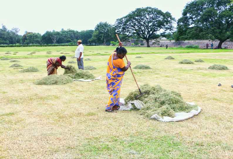 பூங்கா சுத்தம் செய்யும் பணி