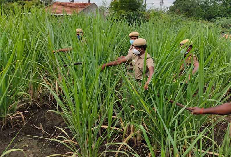 சிறுத்தைப்புலி நடமாட்டம் இல்லை