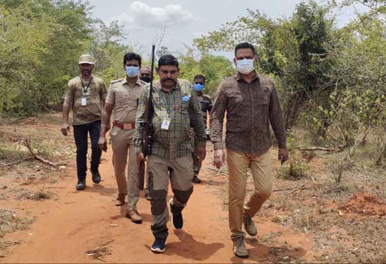 மேட்டுப்பாளையத்தில் மயக்க ஊசியில் இருந்து தப்பிய பாகுபலி யானை